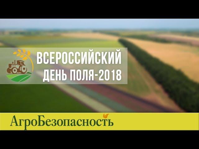 Всероссийский день поля-2018