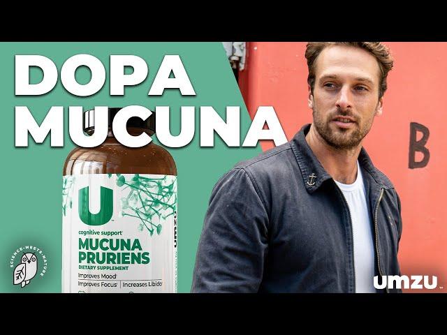 Top 5 Benefits Of Mucuna Pruriens and L-DOPA