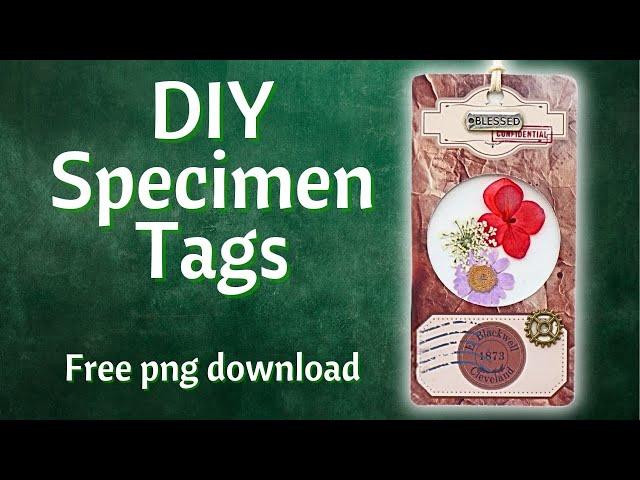 Create Unique Specimen Tags for Junk Journaling