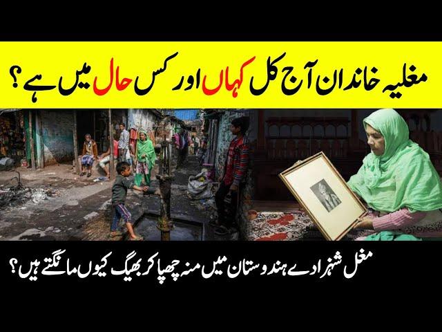 Where's Mughal Family Currently Living? || Heartouching Facts About Descendants of Mughals