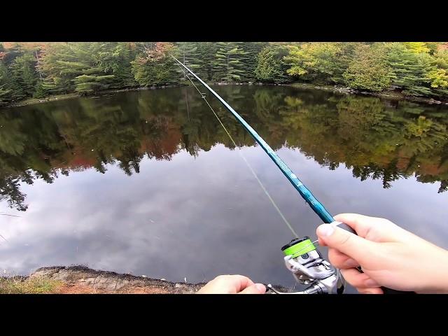 Northern Pike on top water lures - St. Croix Legend Extreme first test