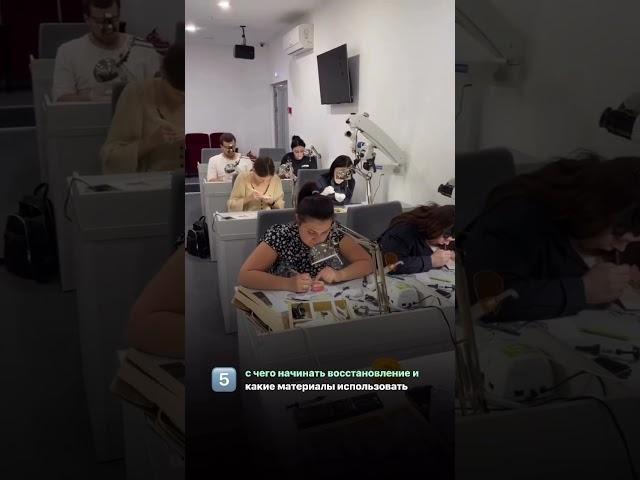 Анатомия реставрации. Жевательная группа зубов.