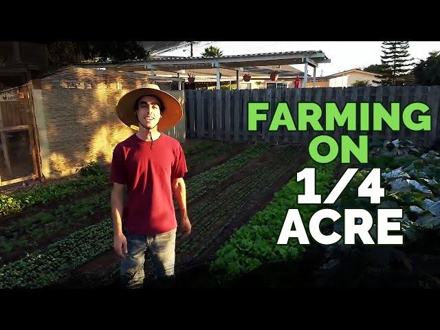 Quitting Your Job To Farm on a Quarter Acre In Your Backyard?