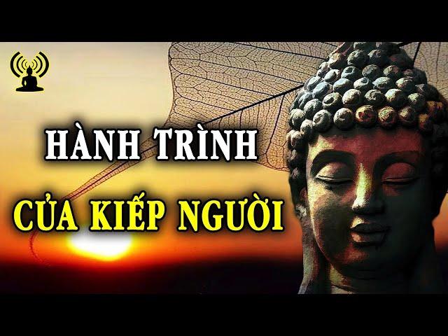 Truy Cầu Nhiều Khiến Thân Mệt Mỏi. Lòng Hạnh Phúc Thì Ngày Tháng Mới Thong Dong.