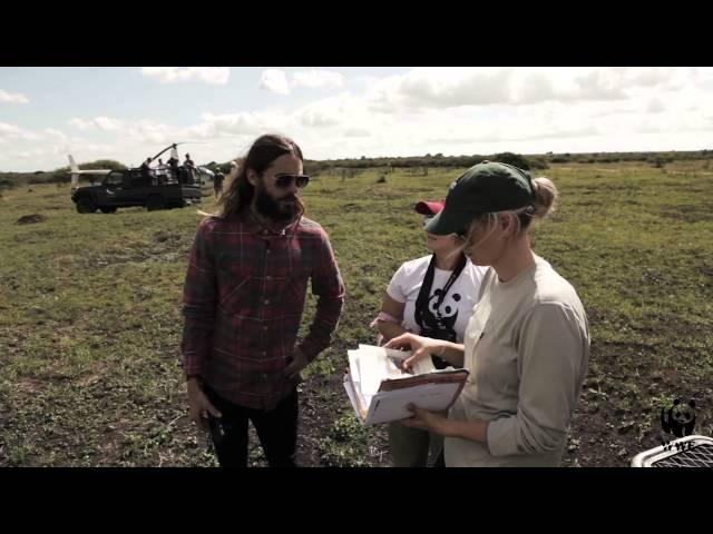 Academy-Award winning actor Jared Leto as a WWF Global Ambassador