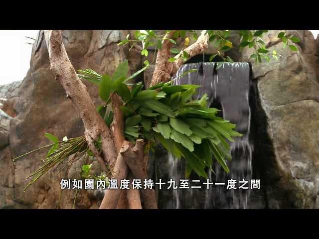 海洋公園好戲在後台第二集 -- 大熊貓的秘密生活 (HD 1080)