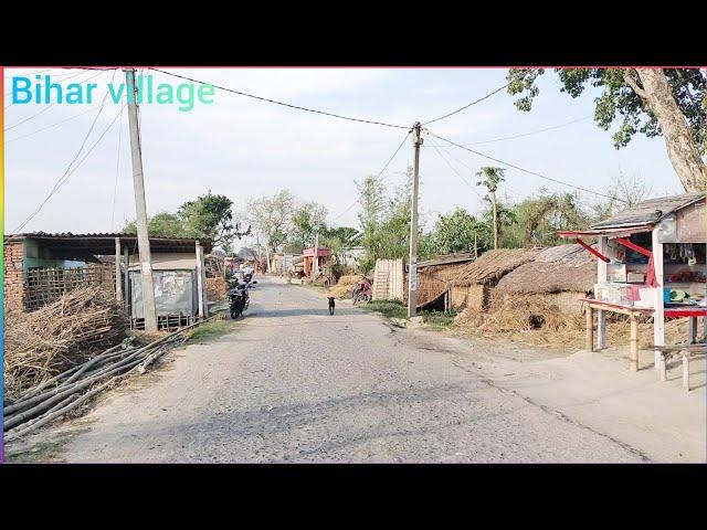 Real Indian Village Life | Bihar village | Rural India