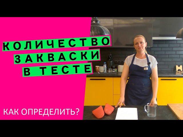 Количество закваски в тесте: как определить, сколько класть?‍️