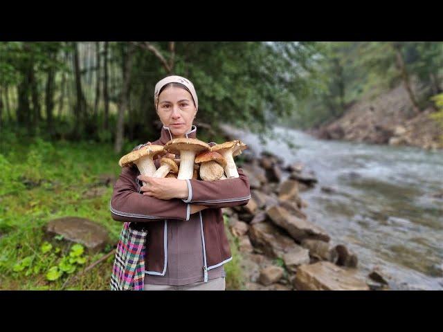 THE WOMAN LIVES ALONE IN THE MOUNTAINS! COOKING FOREST MUSHROOMS