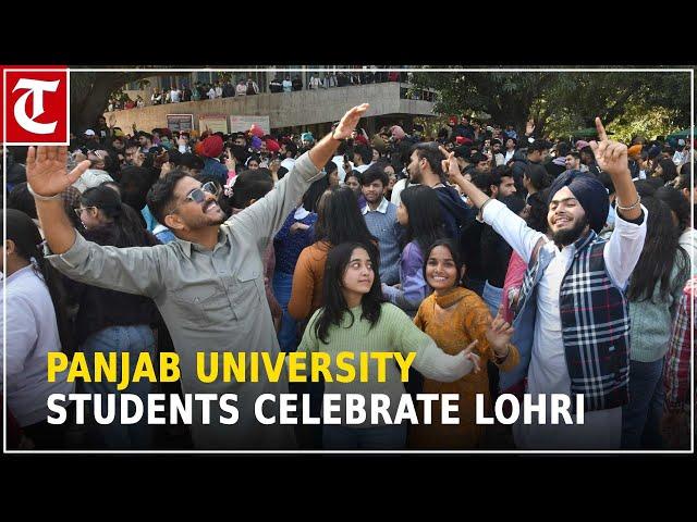 Panjab University students celebrate Lohri on campus