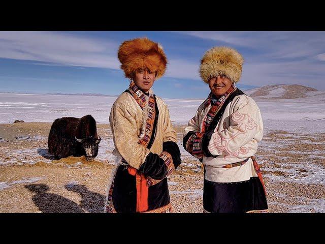 How a Nomadic Family Live in Arctic-Like Winter? Daily Life of Tibetan Nomad in Changthang, 4,960m