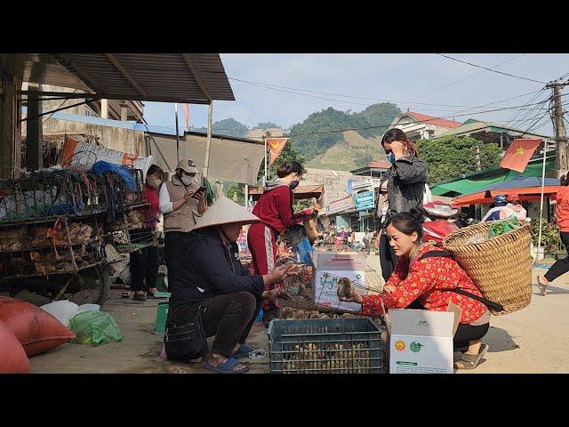 17-year-old single mother gardening: growing vegetables, raising chickens