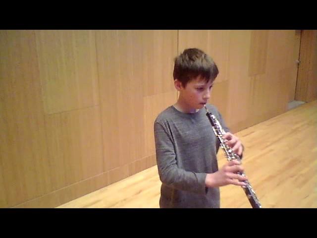 Tomaso Albinoni: Oboe Concerto in D minor, Op. 9, no. 2, III. Allegro