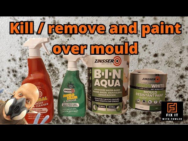 How to paint over mould and mildew - guaranteed results!