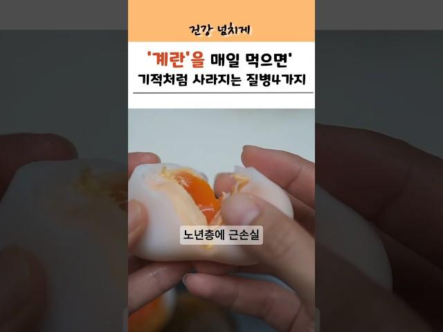 "계란으로 건강 챙기는 꿀팁 공개”!" #건강 #건강정보 #눈건강 #근육