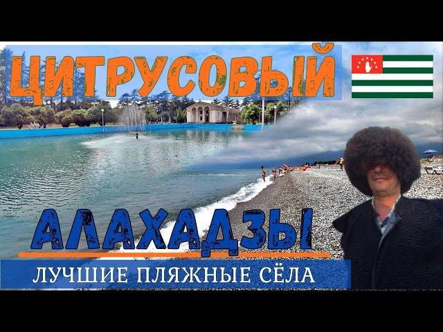АЛАХАДЗЫ и ЦИТРУСОВЫЙ. Бюджетный отдых в сёлах АБХАЗИИ наедине с природой