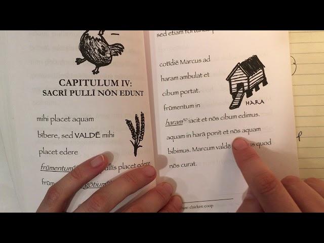 Magistra legit capitulum quartum de sacris pullis.