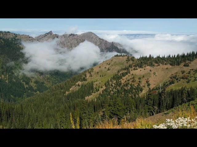 The Hills Have Eyes - Strange Encounters in the Wilderness