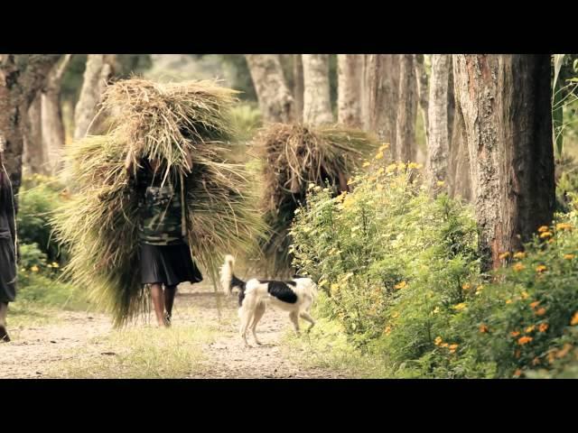 Paganel in Papua