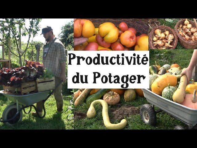 Quelle est la Productivité d'un Potager ? (avec 20 légumes incontournables)