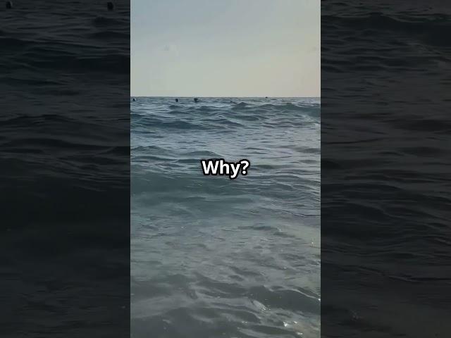 Why is Sea Water Salty?