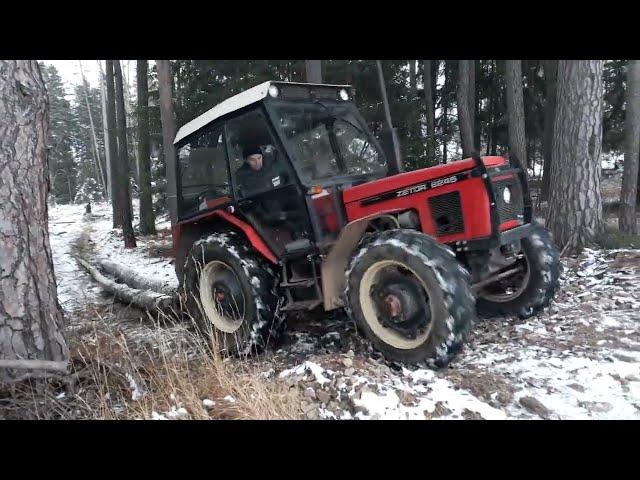 ZETOR 6245 - práce v lese - tahání dřeva