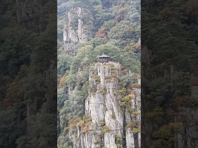 이리 홀리고 저리 홀려 길도 잃고 자기도 잃는 포항 내연산