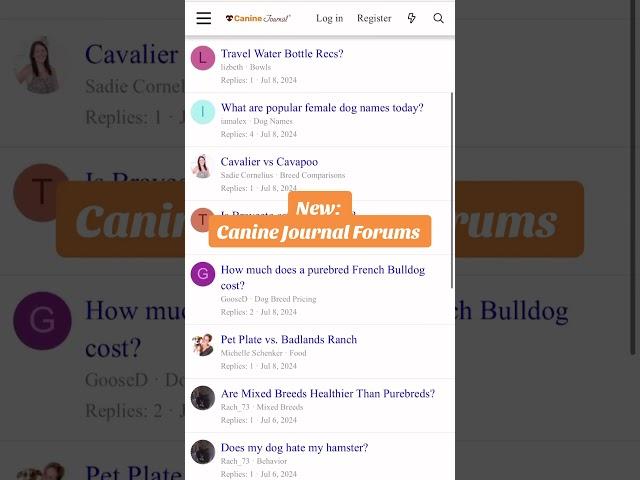 Visit caninejournal.com to join our new forum and pick the brains of our experts #dogshorts