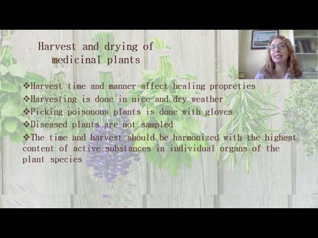 9.2. Medicinal and Aromatic plants