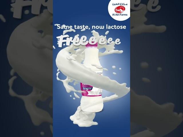 New Fresh Milk Lactose-Free, Al Ain Farms