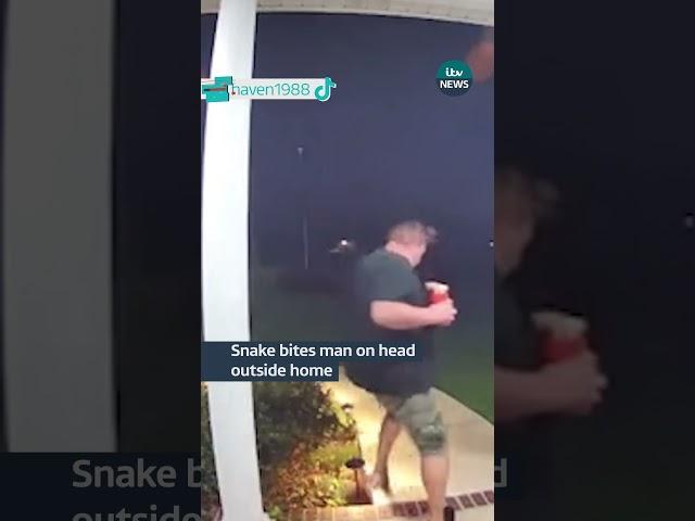 Snake bites man on head outside home #itvnews #snake #usa