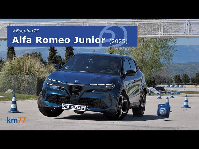 Alfa Romeo Junior - ¿Una decepción?