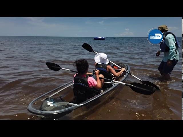 Miami EcoAdventures Clear Kayak Tours