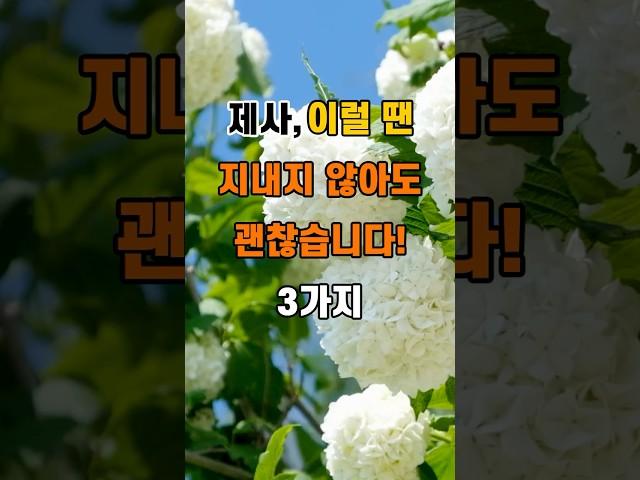 '제사, 이럴 땐 지내지 않아도 괜찮습니다 3가지'  #명언 #좋은글 #건강 #지혜 #인생조언 #50代  #60代  #70代
