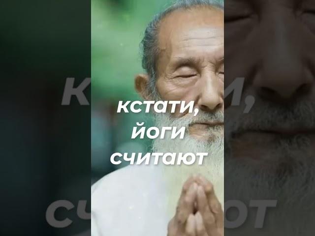 Слова со смыслом.  Мудрость на века. Мудрость жизни #shorts