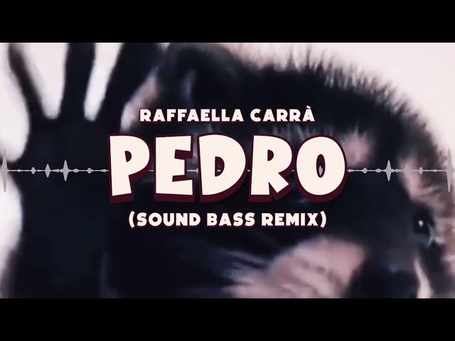 Raffaella Carrà - PEDRO 'tik tok hit' (SOUND BASS Remix) #pedro #trendingmusic #soundbass