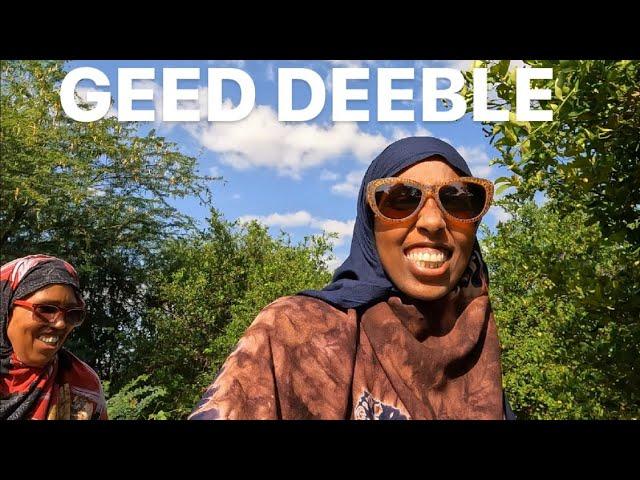 AMAZING FARM TOUR in Geeddeble 30 mins outside of HARGEISA SOMALILAND 2024