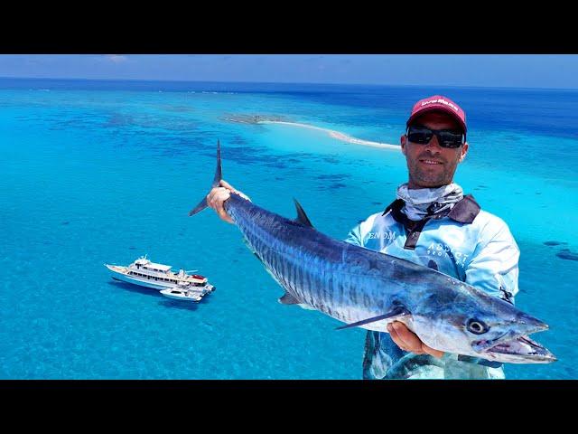 Fishing on Bugatti Reef || Josh the tradie WINS trip of a lifetime