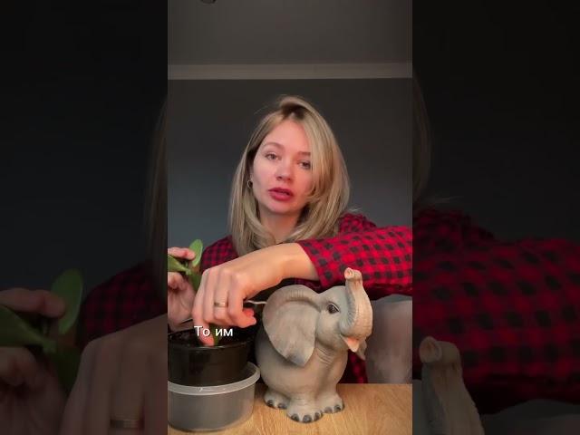 И в чем он не прав?