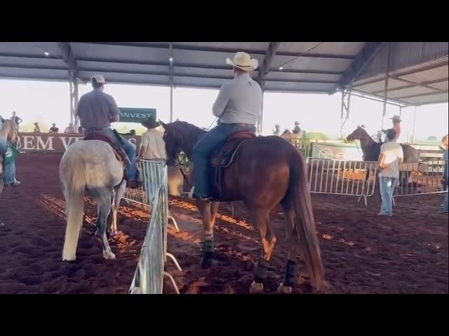 Marcelo Silva 3º no Warm up da etr com o parceiro Raul Matos Matsuura #teamroping