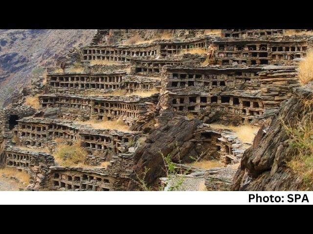 Beehives of Saudi Arabia’s Thought to be Over 1,000 Years Old