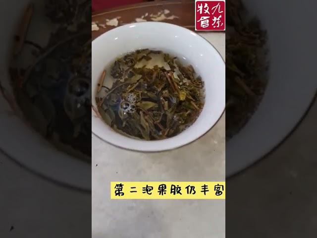 白莺山千年古树茶（二嗄子）