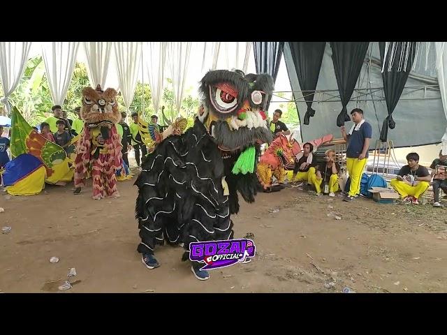 ATRAKSI BARONGSAI - Jembet - Seni Burok PUTRA LESTARI Live Desa Taraju