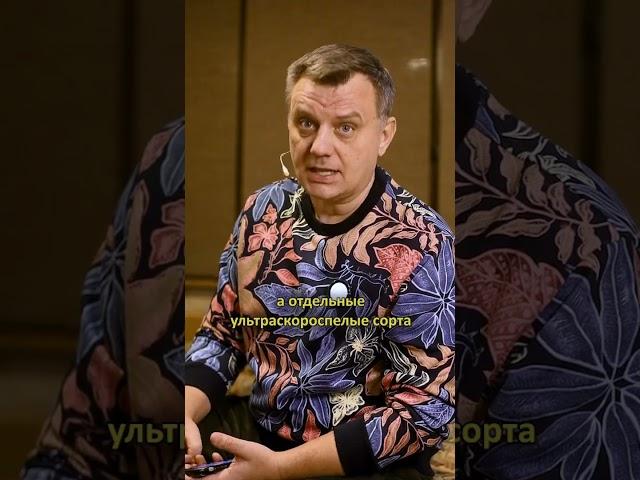 ВЫБИРАЙ С УМОМ! Томаты на МИЛЛИОН Дачный агроном