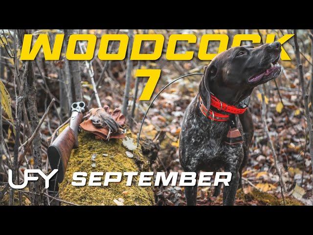 Northwoods Woodcock Hunting 7 - September #woodcockhunting