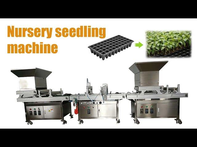 Hot sell automatic nursery seeding machine! Vegetable nursery sowing machine for sale