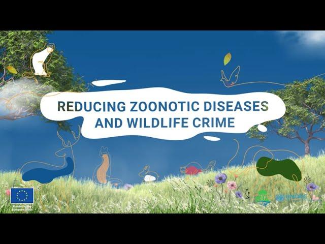 SAFE: Reducing zoonotic risks and wildlife crime