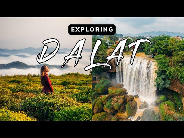 Why You NEED To Visit Dalat Vietnam  // Da Lat Travel Guide