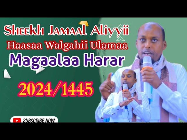 Haasaa Ijoo Sheekh Jamaal Aliyyii Magaalaa Harar 2024/1445 Itti dhihaadhaa