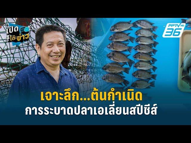 Highlight |  “วิฑูยร์” ลั่นปมปลาหมอคางดำ อย่าหลงประเด็น | เปิดโต๊ะข่าว | 18 ก.ค.67